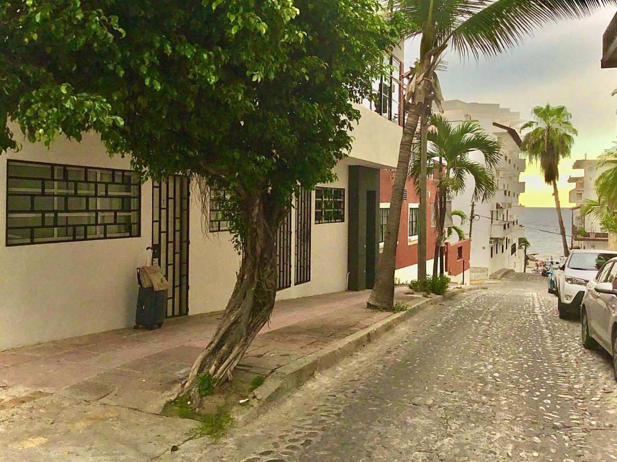 Pilitas Apartments Vallarta プエルトバラータ エクステリア 写真